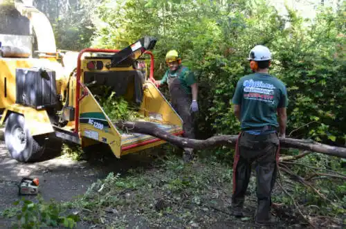 tree services Airport